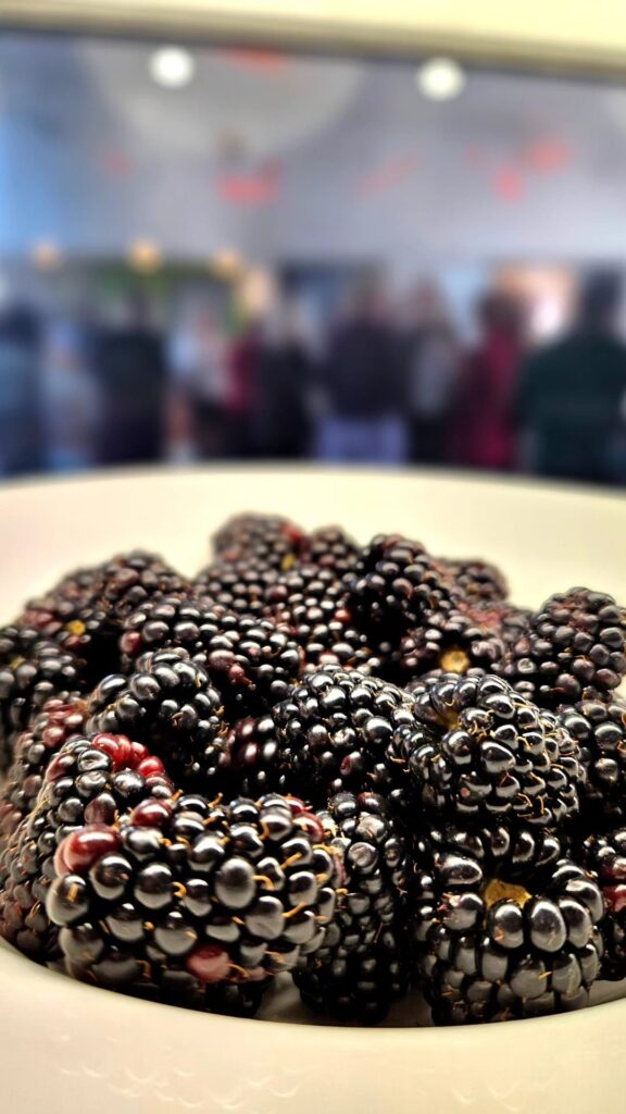 The Stand Cafe - Fresh Blackberrys